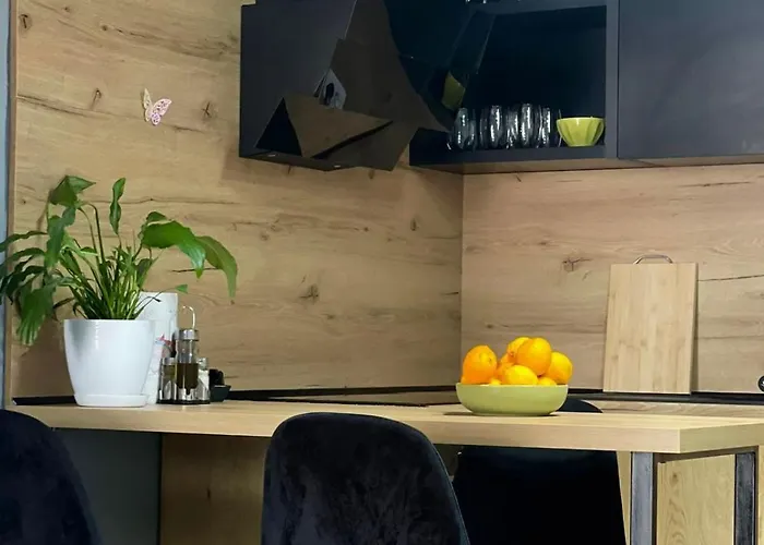 Apartment Olive House